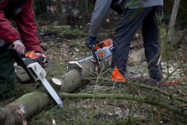 Working with chainsaw — Stock Photo, Image