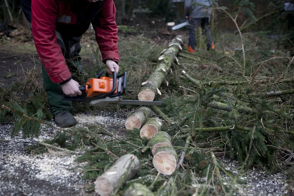 Chainsaw in the wood — Stock Photo, Image