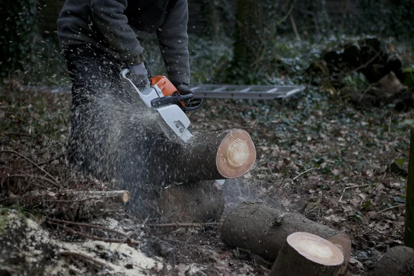 Tronçonneuse dans le bois — Photo