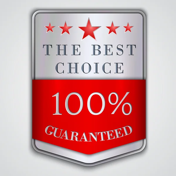 Vector  silver badge label with the best choice and hundred percent  guaranteed  text — Stockový vektor