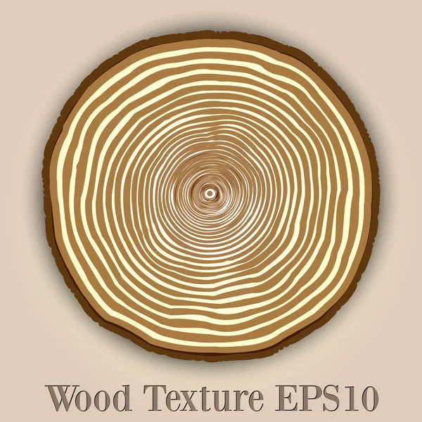 Vector wood texture background with tree rings — Stock Vector