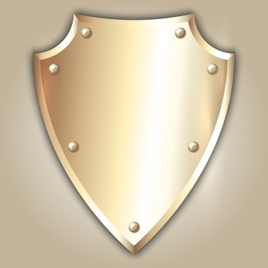 Vector abstract illustration of stainless steel shield