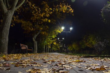 Parkta sonbahar gecesi.