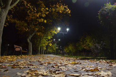 Parkta sonbahar gecesi.