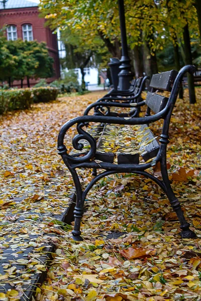 Herbstpark mit einem Weg, gelben Blättern, Bänken und einem Gebäude. — Stockfoto