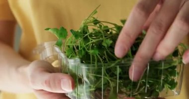 Plastik kutuda taze organik brokoli tutan bir kadın.. 