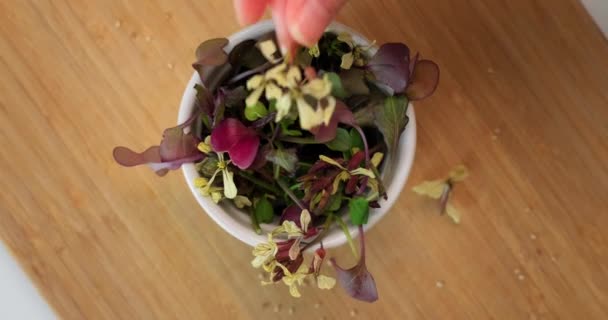 Top view of various microgreens in a bowl, hand placing a microgreen in bowl. — Stock Video