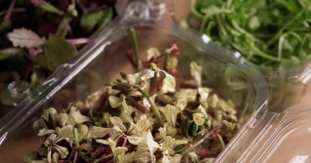 Close up of microgreens and organic eatable flowers in plastic boxes. — Stock Video