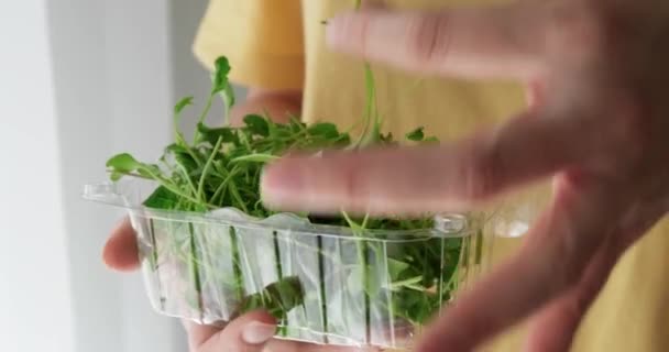 Femme détient des microverts organiques frais de brocoli bébé dans une boîte en plastique. — Video