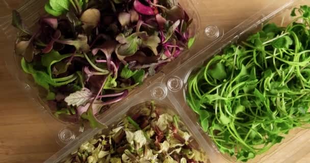 Vista superior de microgreens orgânicos frescos e flores comestíveis em caixas de plástico. — Vídeo de Stock