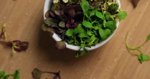 Friss ökológiai mikrozöldségek és ehető virágok közelsége tálban. — Stock videók