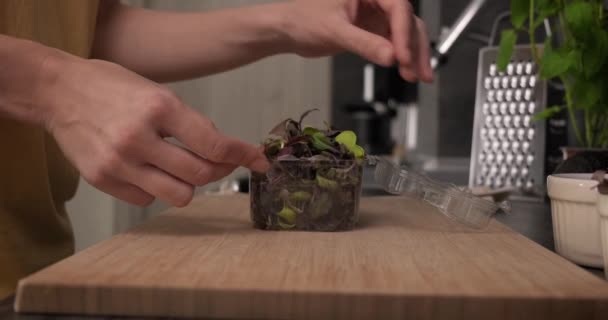 Panning shot of woman opening a box with fresh organic microgreens. — стоковое видео