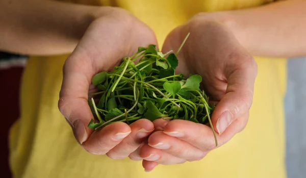 Brokoli Mikroyeşillerini Yakın Plan Sarı Tişörtlü Kadın Ellerinde Süper Yiyecek — Stok fotoğraf