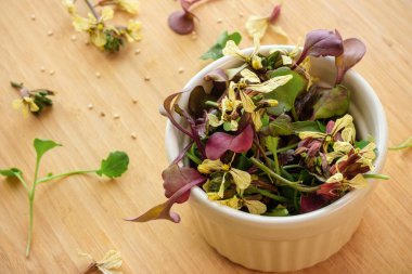 Ahşap arka planda çeşitli mikro yeşillikler bulunan kasenin genel manzarası.