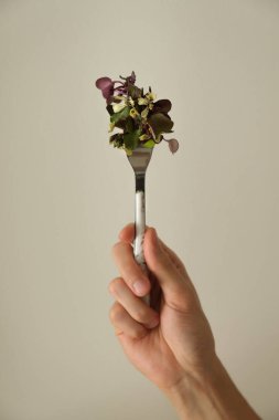 Farklı mikroyeşilliklerin çatalla karışımı.