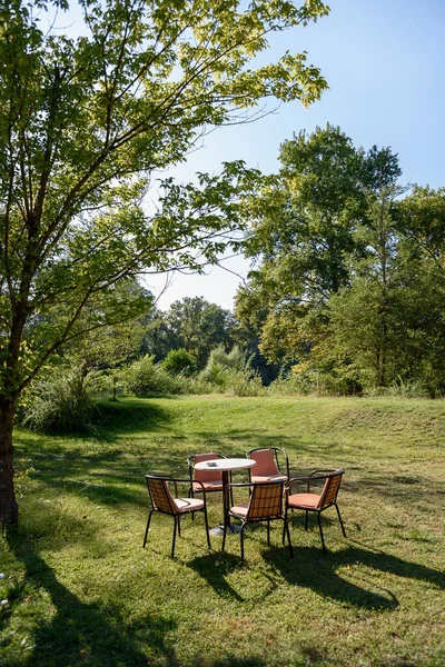公園の緑の芝生の上で空の庭のテーブルと椅子の垂直ショット — ストック写真