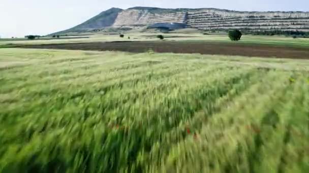 Footage Salt Mining Quarry Slopes Fields Beautiful Landscape — Stock Video