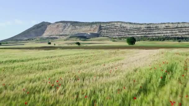 Beelden Van Een Zoutwinning Steengroeve Met Hellingen Velden Prachtig Landschap — Stockvideo