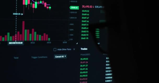 Monitor Živou Aktualizací Kryptografických Cen Zelenými Červenými Indikátory Finanční Grafy — Stock video