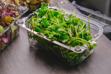 Bebek brokoli mikroyeşillikleriyle plastik kutuya bak