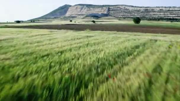 Luchtfoto Van Een Open Put Industriële Steengroeve Met Grondstoffen Zoals — Stockvideo