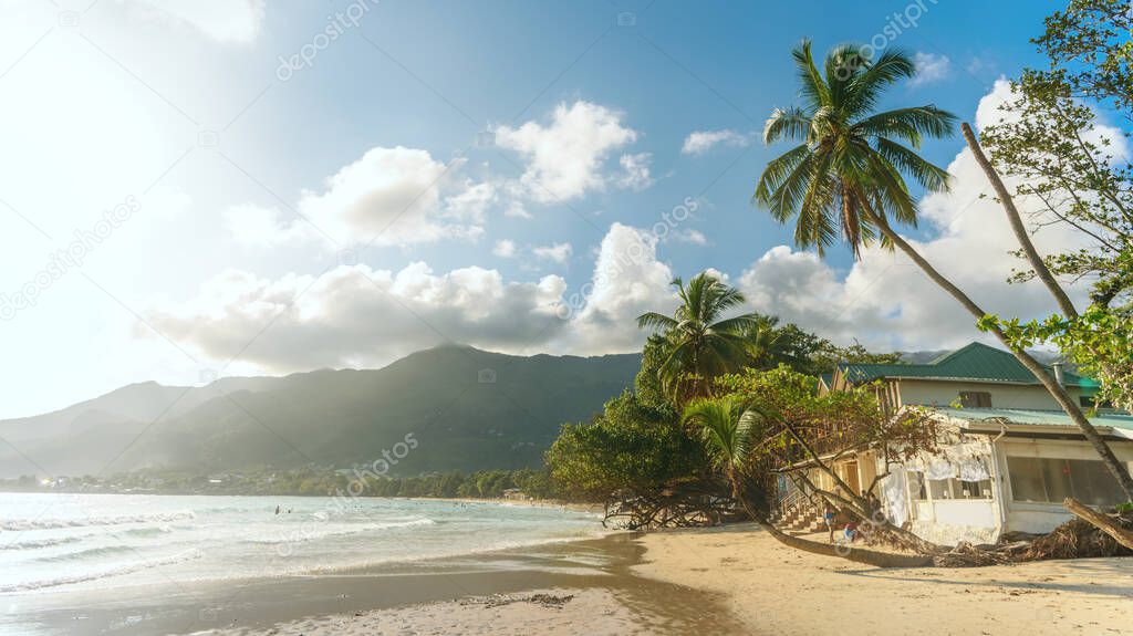 Beautiful tropical coast with high palm trees and golden sand