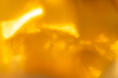 soyut altın renkli çözünmüş dairesel fakül, soyut arkaplan.