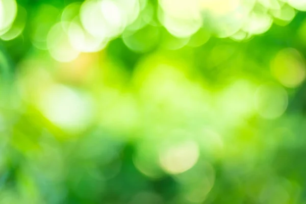 Groene Achtergrond Abstracte Lichtgradiënt Bokeh Natuurlijk Gebruikt Voor Tekst Input — Stockfoto