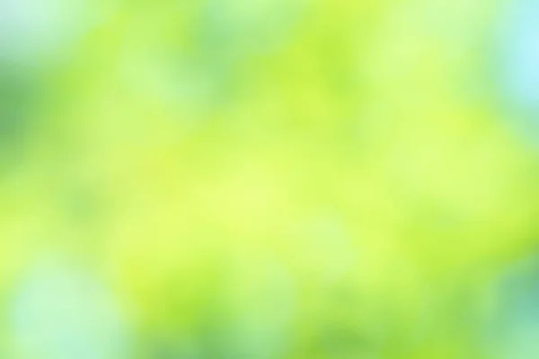 Yeşil Bulanık Arkaplan Soyut Işık Gradyanı Bokeh Doğal Metin Girdisi — Stok fotoğraf