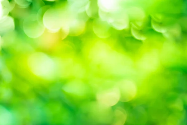 Gradiente Luz Abstracta Fondo Verde Bokeh Natural Utilizado Para Entrada — Foto de Stock