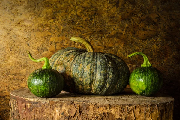 Natura morta zucca — Foto Stock