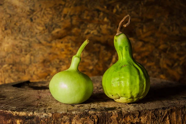 Stilleven kunst fotografie met kalebas — Stockfoto