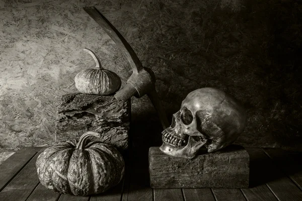 Still Life Skull and pumpkin on the timber. — Stock Photo, Image