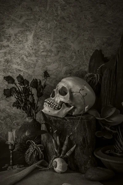 çöl bitkileri, kaktüs, gül ile bir insan kafatası ile natürmort 