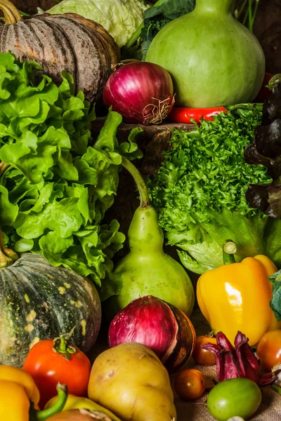 Stilleben grönsaker, örter och frukter. — Stockfoto