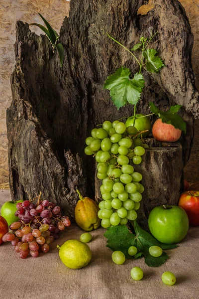 Masih hidup dengan buah-buahan. — Stok Foto