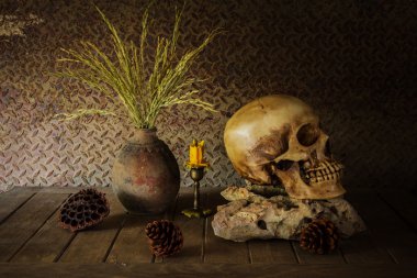 bir kafatası ile natürmort.