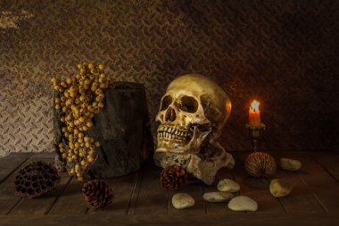 bir kafatası ile natürmort.