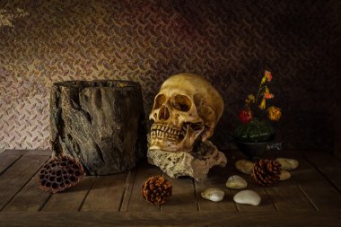 bir kafatası ile natürmort.