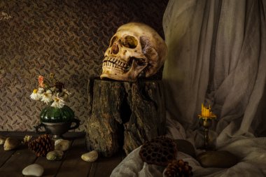 bir kafatası ile natürmort.