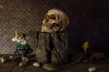 bir kafatası ile natürmort.