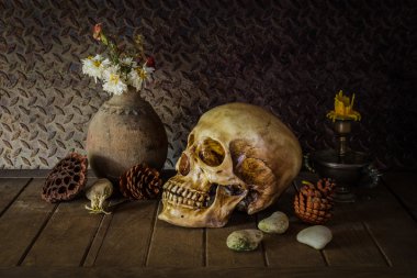 bir kafatası ile natürmort.