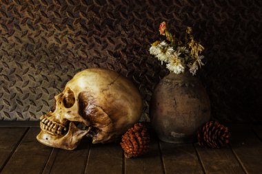 bir kafatası ile natürmort.
