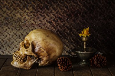 bir kafatası ile natürmort.