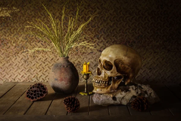 bir kafatası ile natürmort.