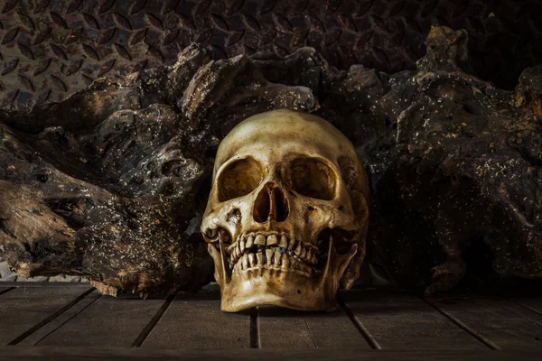 Still Life with a Skull. — Stock Photo, Image