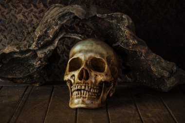  bir kafatası ile natürmort.