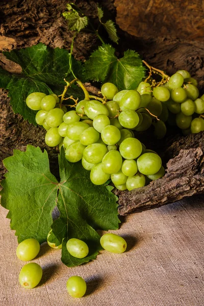 Bodegón con uva verde . — Foto de Stock