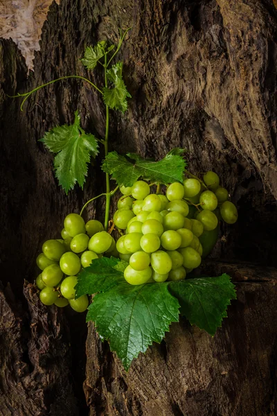 Bodegón con uva verde . — Foto de Stock