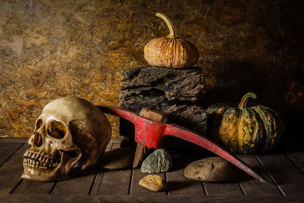 Still Life Crânio e abóbora na madeira . — Fotografia de Stock